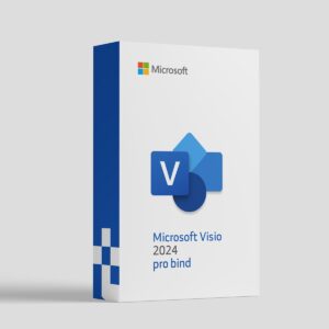 Microsoft Visio Professional 2024 Bind Key