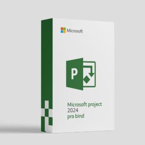 Microsoft-project-2024-pro-bind-Key.jpg